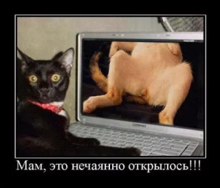 s320x240.webp