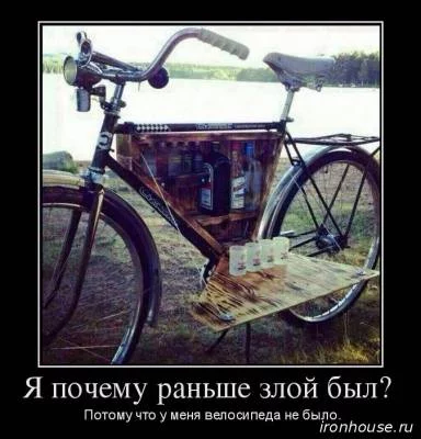 s37084607.webp