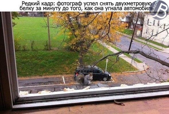 s6JqV_EHC0Y.jpg