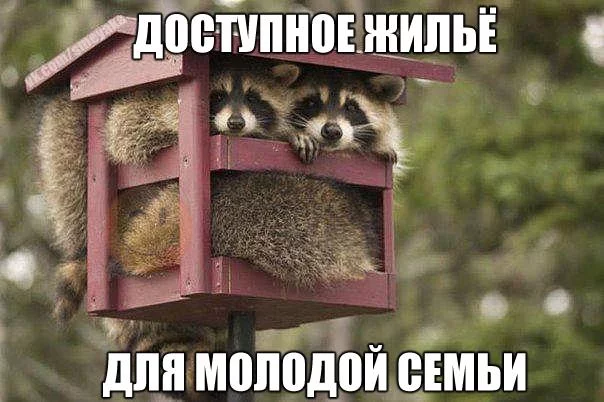 s7089_1430422298.webp