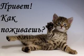 SA_fv1GeBKo.webp