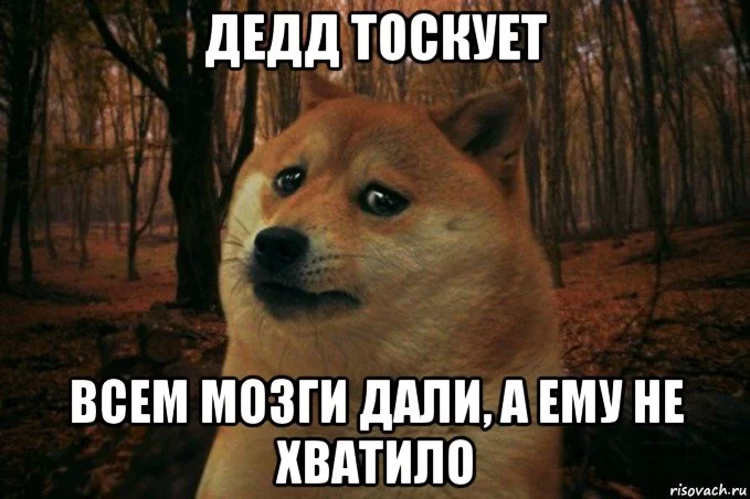 sad-doge_132833021_orig_.webp