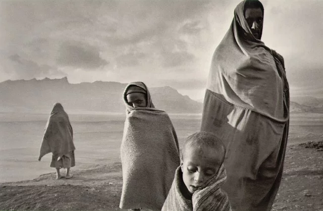 salgado_covers.webp