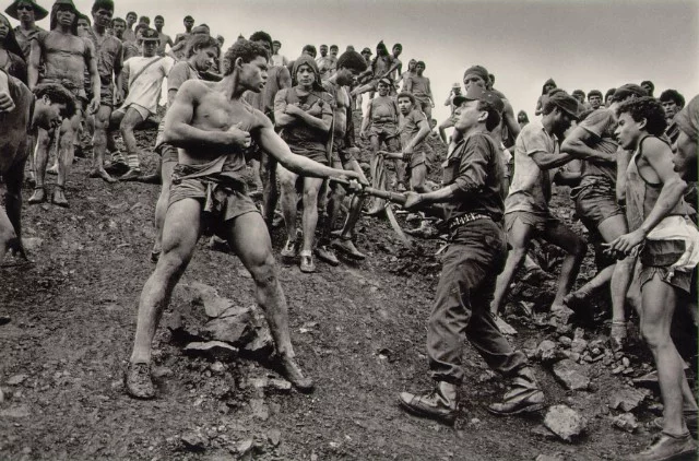 salgado_dispute.webp