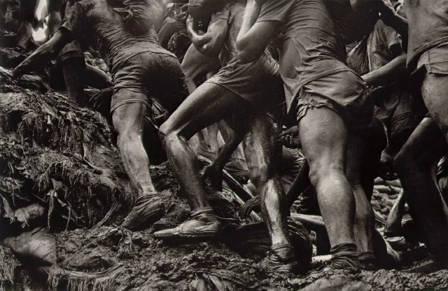 salgado_going_up.webp