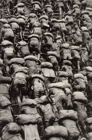 salgado_serra_pelada.webp