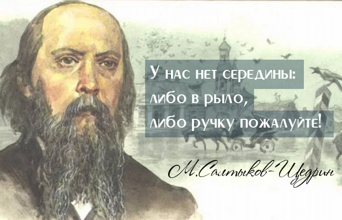 saltikov_00.webp