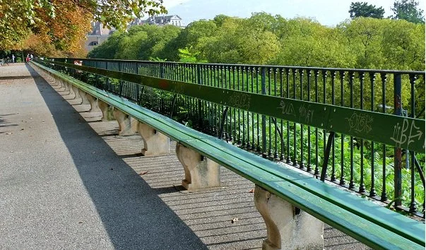 samaja_dlinnaja_v_mire_skamja_de_lja_trej.webp
