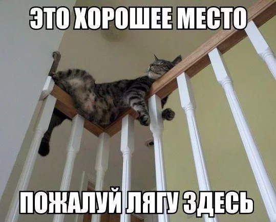 samoe-udobnoe-mesto-v-kvartire-open.webp