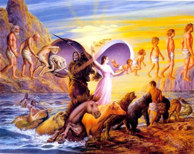 samsara7cg.webp