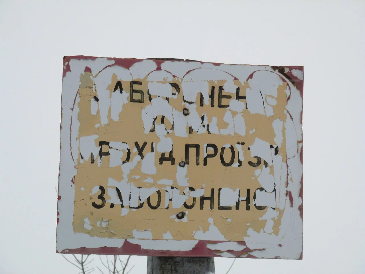 sBBwohVsVOk.webp