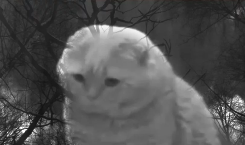ScpGNwVWVRc.webp