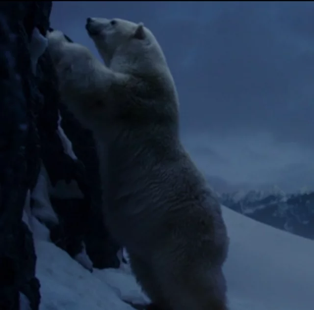 Screenshot-11.webp