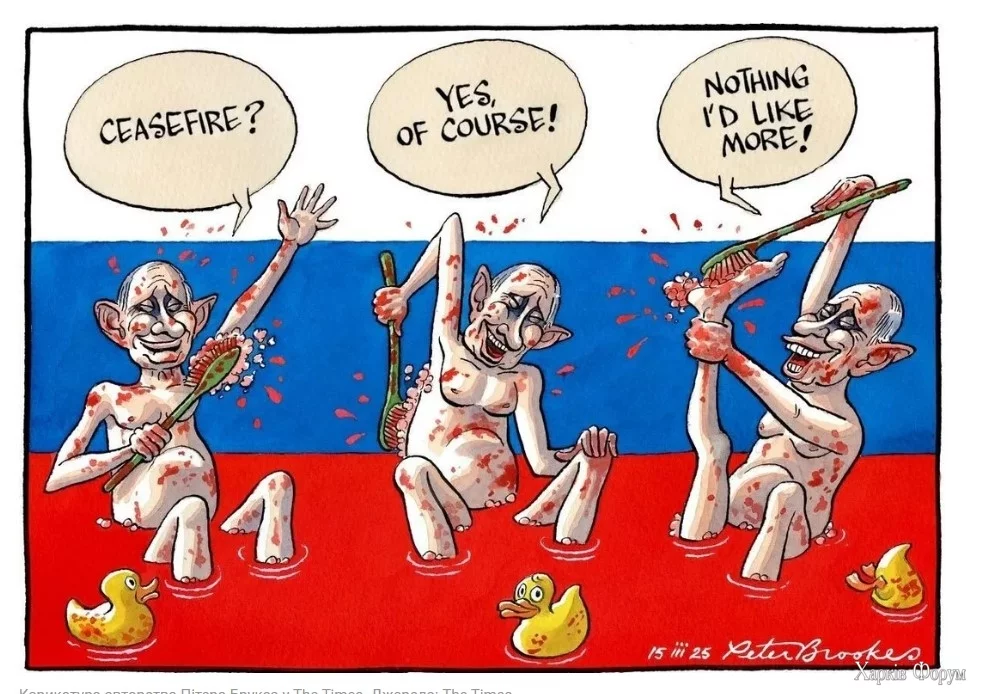 Screenshot 2025-03-15 195011.webp