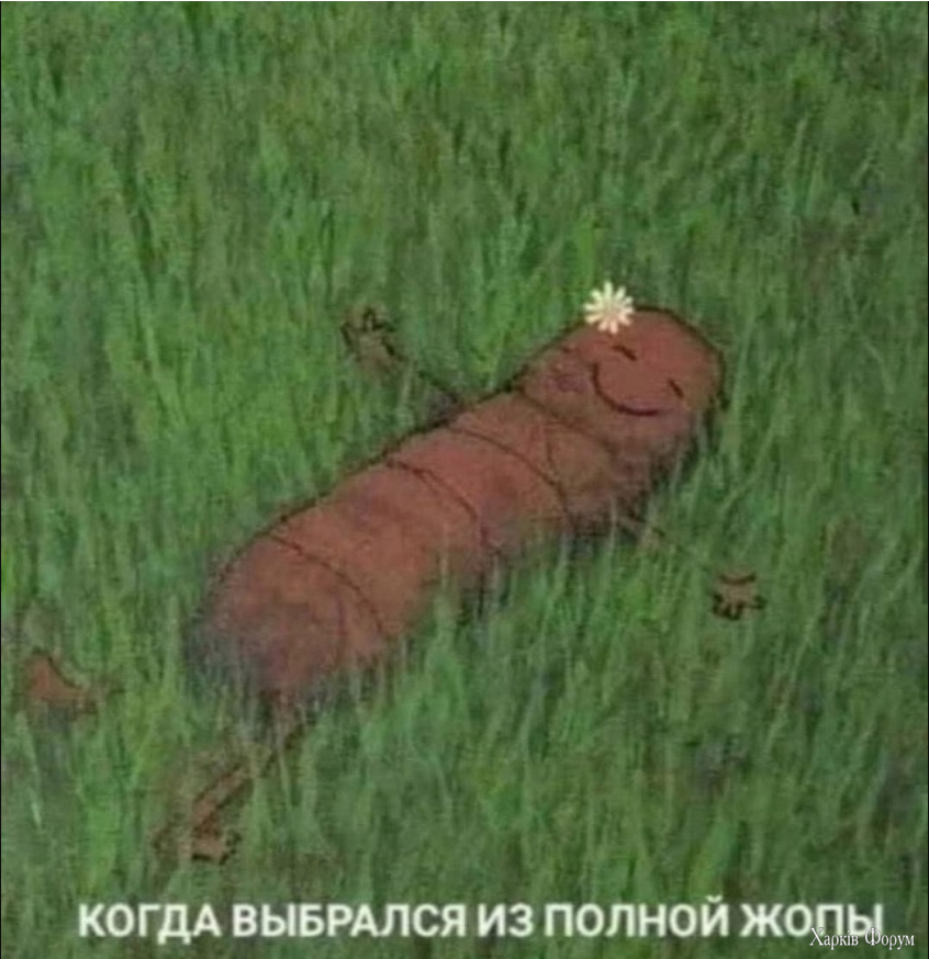 Screenshot 2025-06-11 182251.png