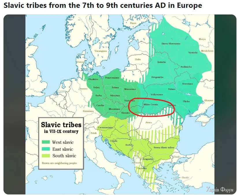 Screenshot 2026-02-25 221409.webp