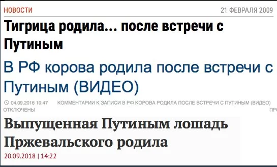 screenshot-21.webp