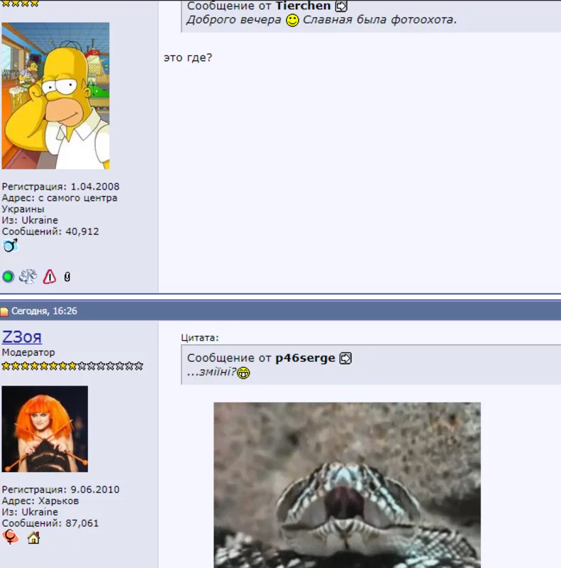 Screenshot-3.webp
