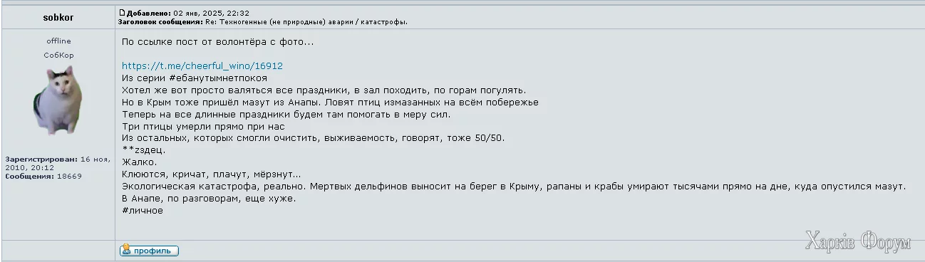 Screenshot_2.webp