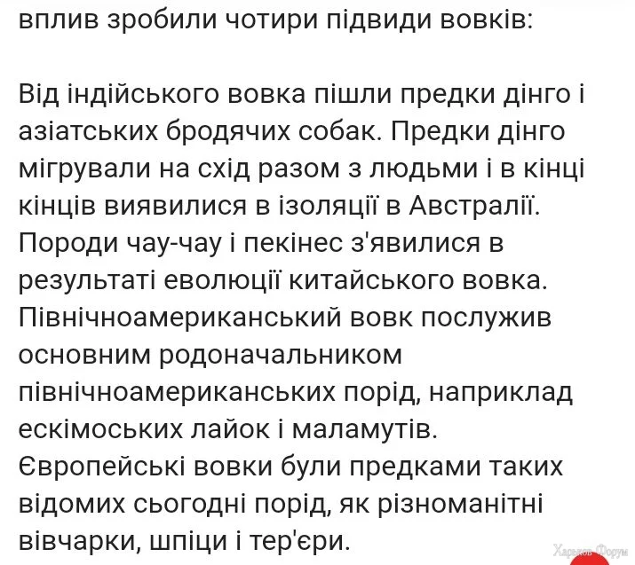 Screenshot_20240616-214240.webp