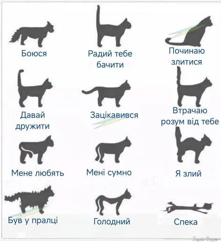 Screenshot_20250402-103615.webp