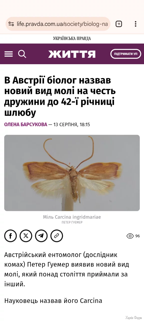 Screenshot_20250813-230643.webp