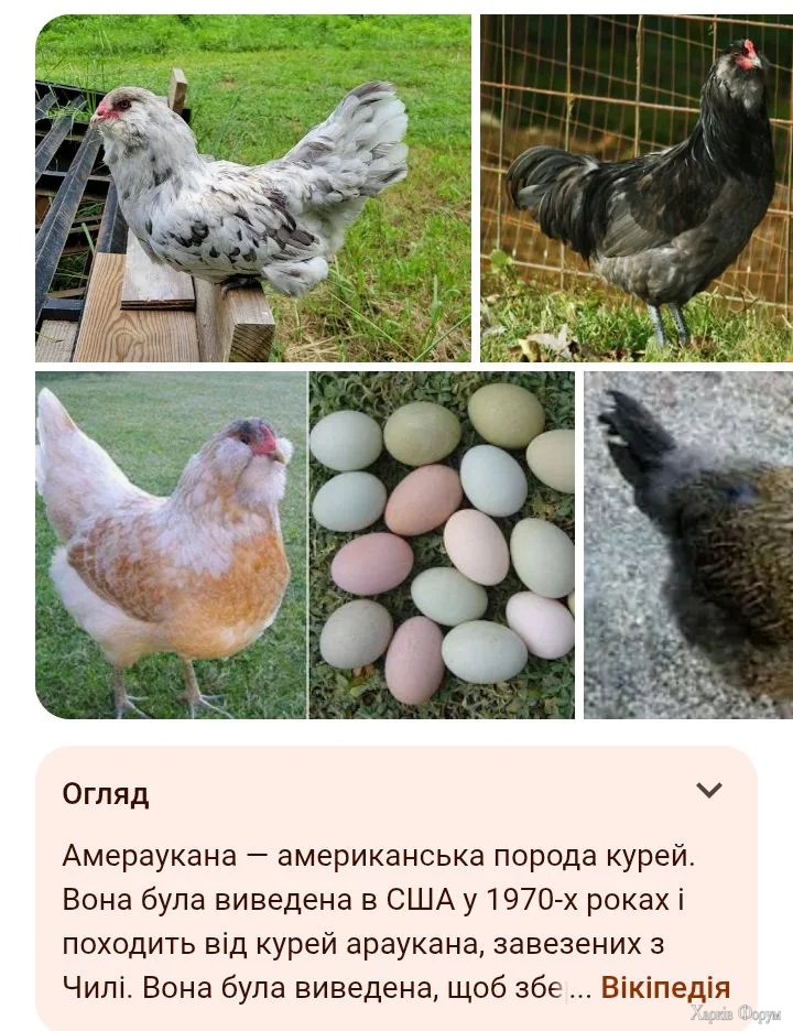 Screenshot_20260412-003549.webp
