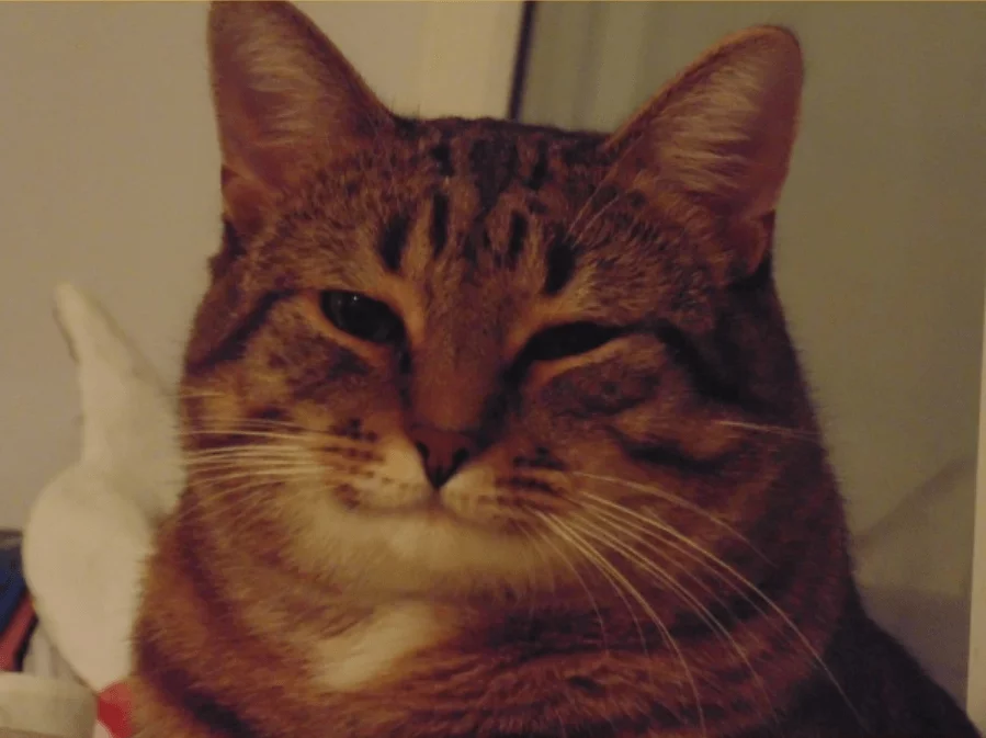 screenshot_22-1.webp