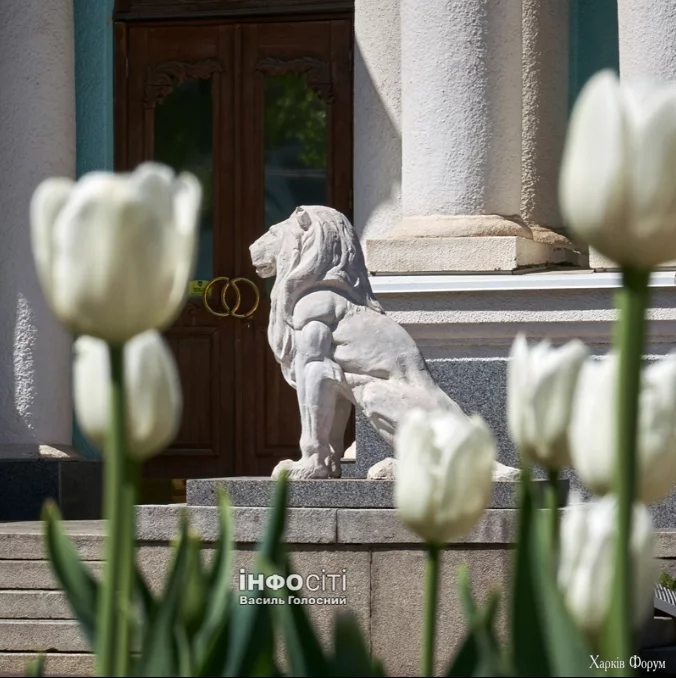 Screenshot_361.webp