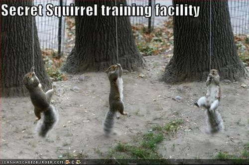 Secret+Squirrel+training+facility.webp