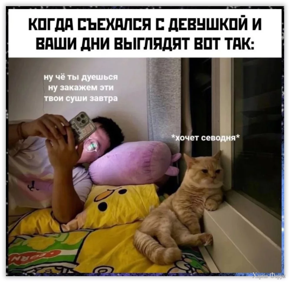  сегодня.webp