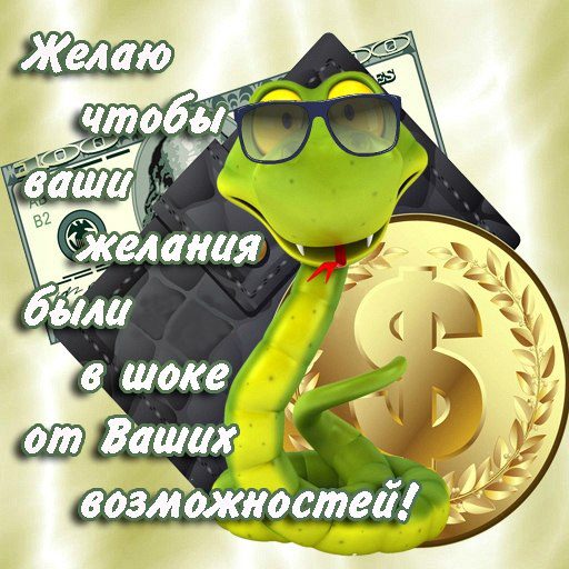 sgz.jpg