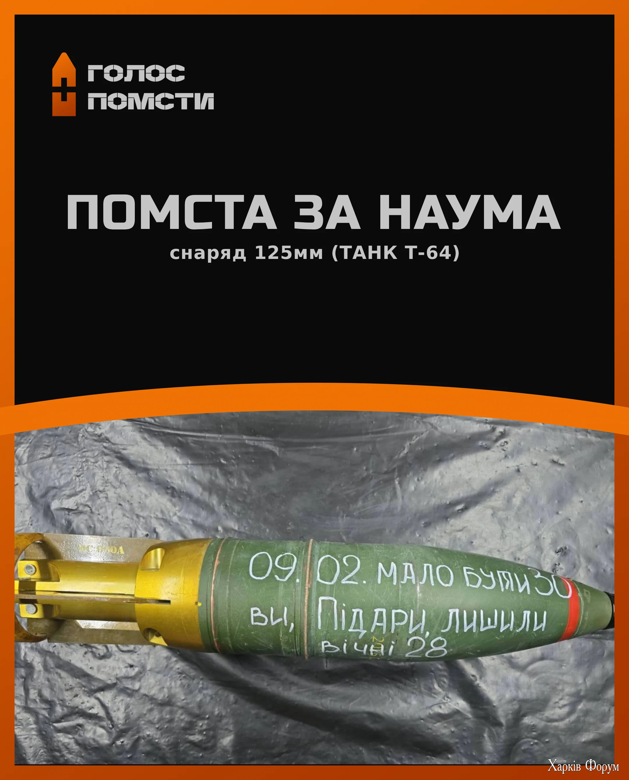 Шаблон_Голос_Помсти (7) (1).webp