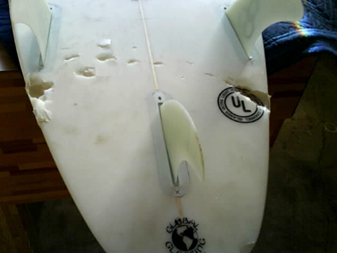 shark-attack-board2.jpg