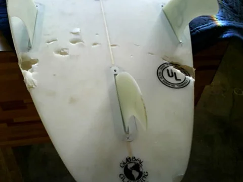shark-attack-board2.webp
