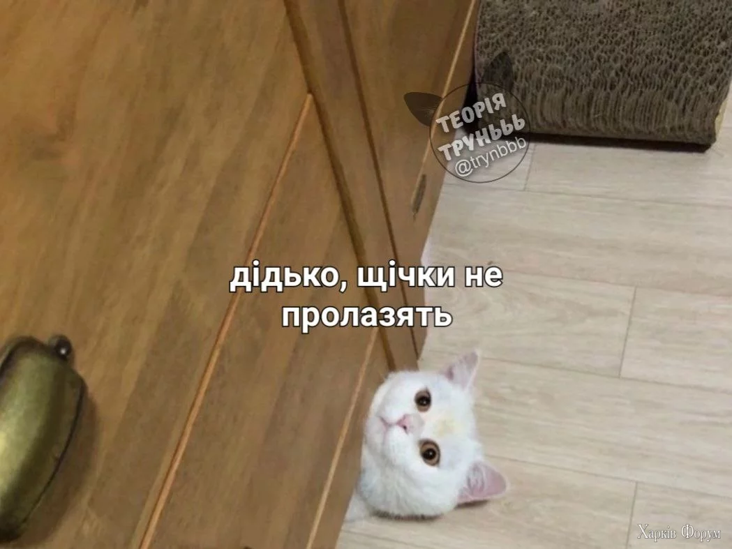  щічки.webp