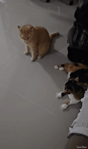 She_Is_Jealous_Of_Her_New_Boyfriend_ (1) (1).gif