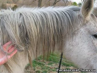 sheya.webp sheya.webp