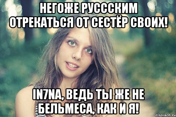 sho_26685052_orig_.webp