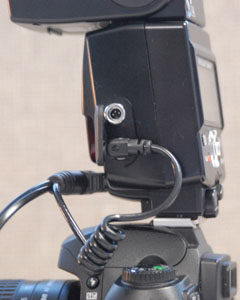 sideview1.jpg