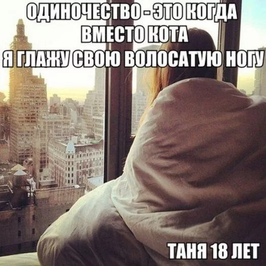SirVspFo3qQ.webp