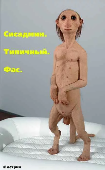 sisadminy_62.webp