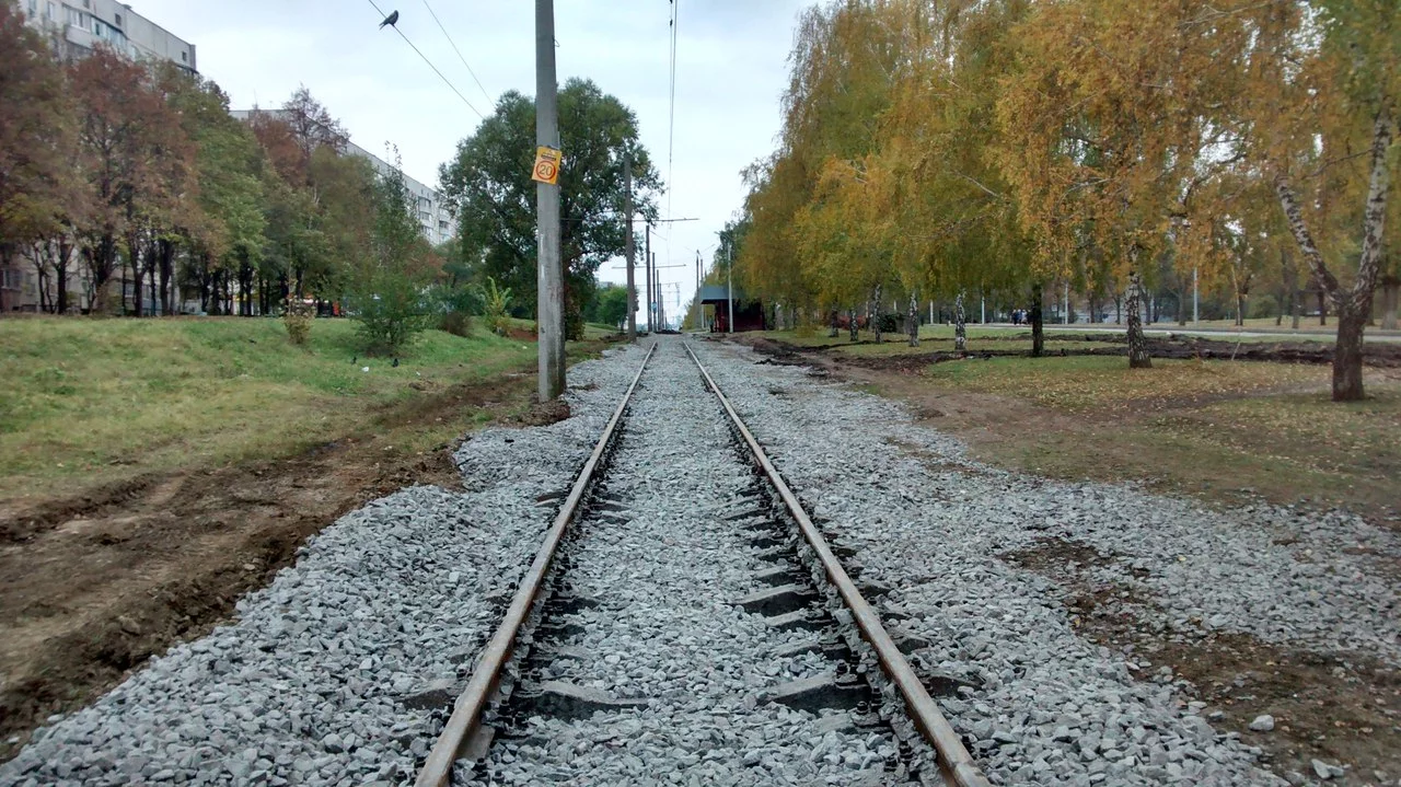 sJ8JqW_NgZ0.webp