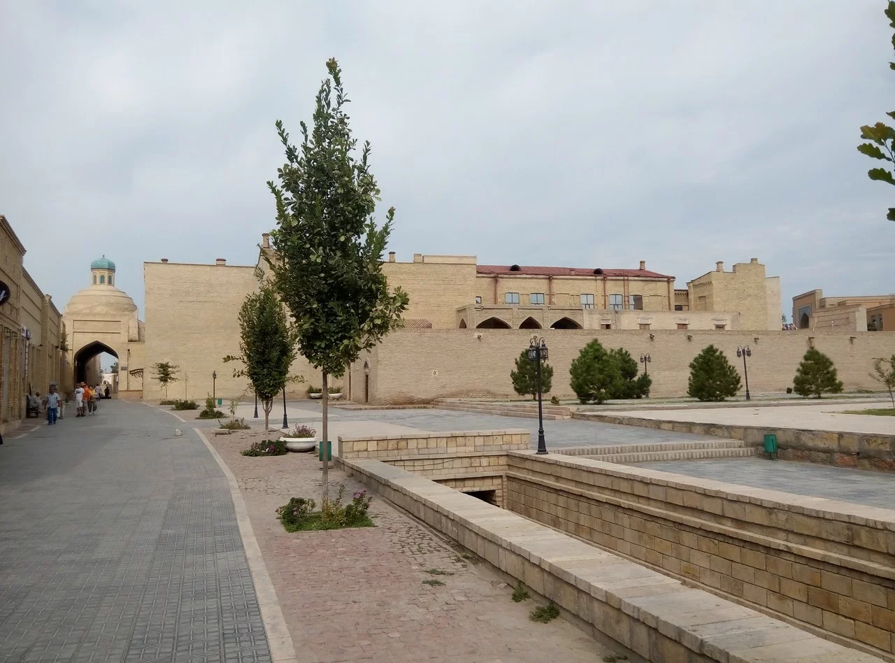 SjIIf2gFVok.webp