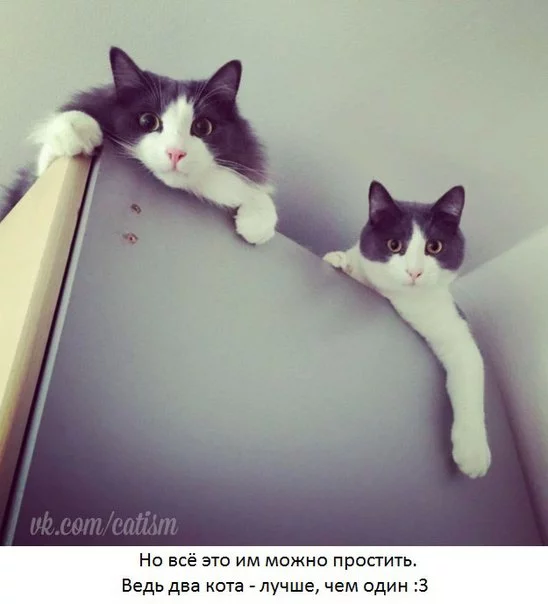 SJmKWfZy-pY.webp