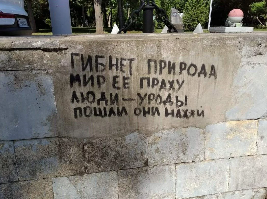 sk40h3xzj4g71.webp