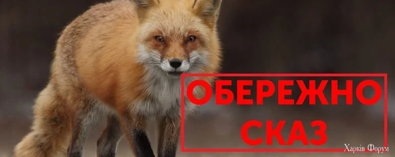 skaz_686282aacb89a.webp