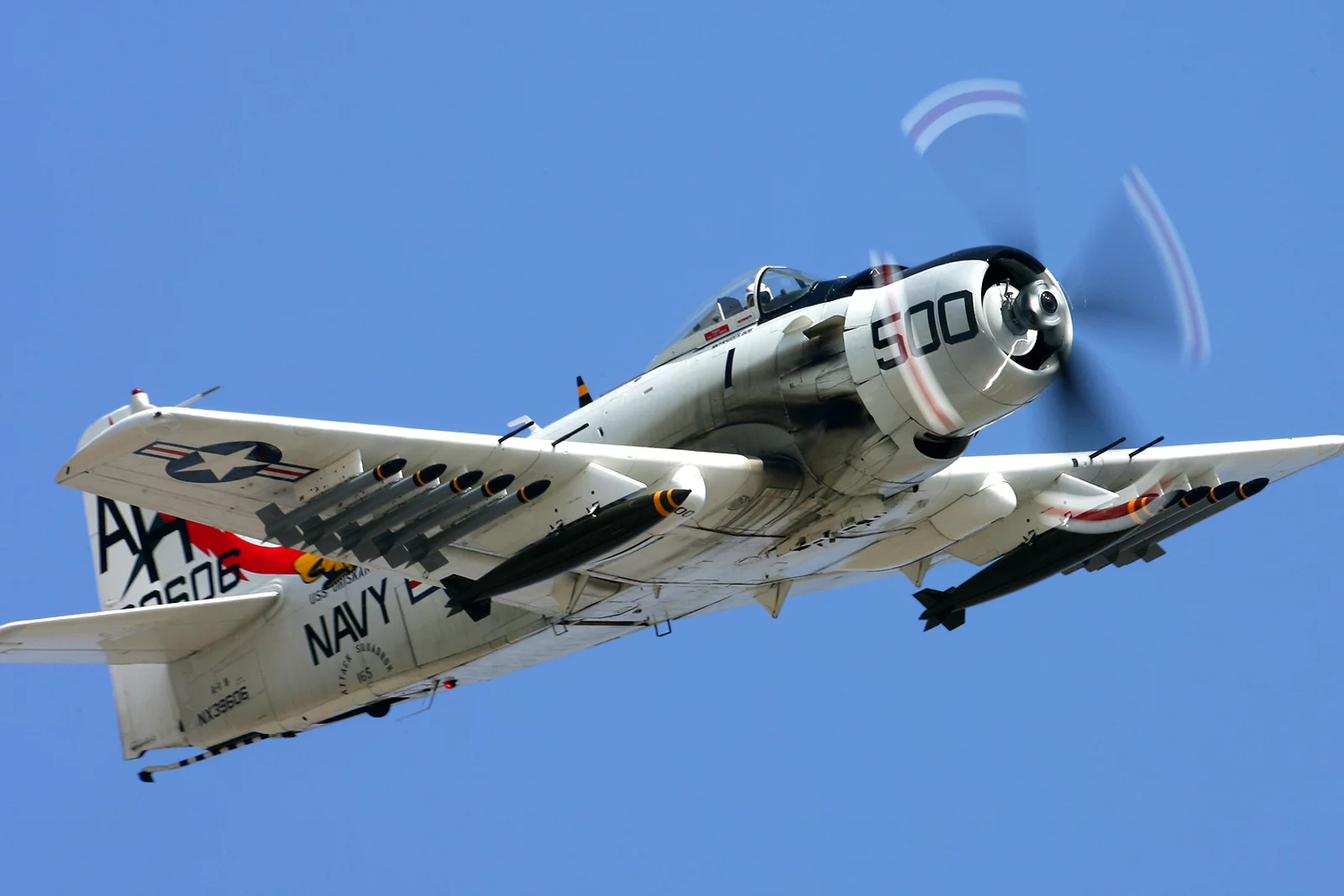 skyraider-3.webp