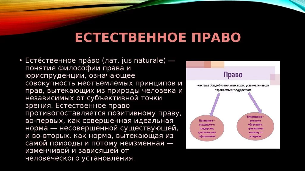 slide-5.webp