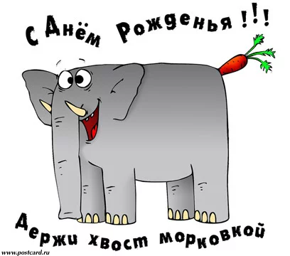 slon.webp